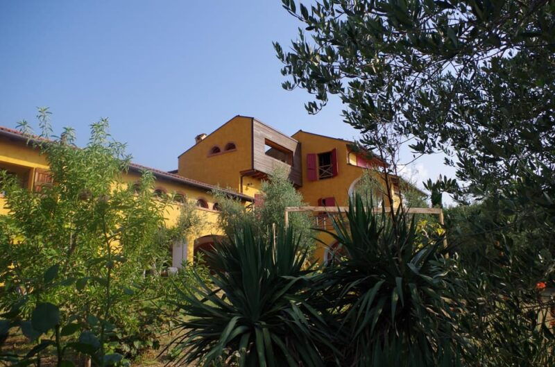 san-felice-olive-oil-tasting-with-local-food-on-garda-hills