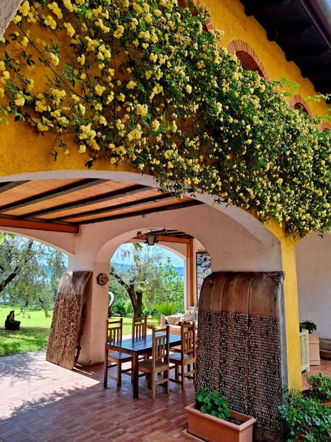 san-felice-olive-oil-tasting-with-local-food-on-garda-hills