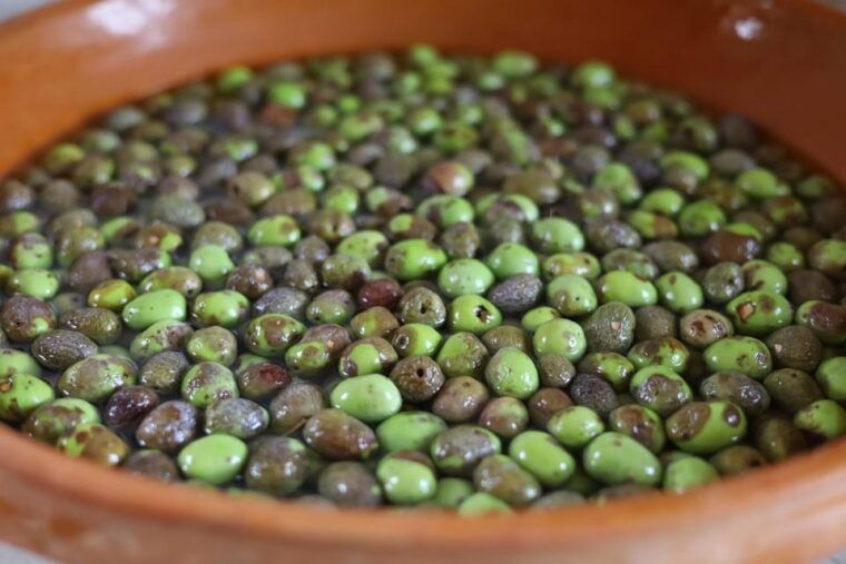 san-felice-olive-oil-tasting-with-local-food-on-garda-hills