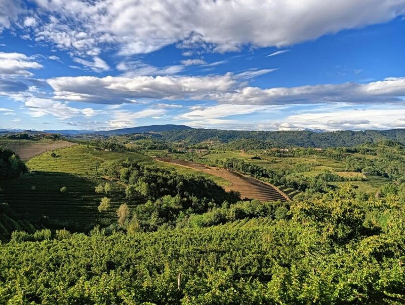 san-floriano-del-collio-wine-food-and-castle-tour