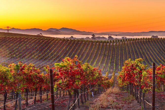 san-francisco-airport-private-transfer-to-napa-valley