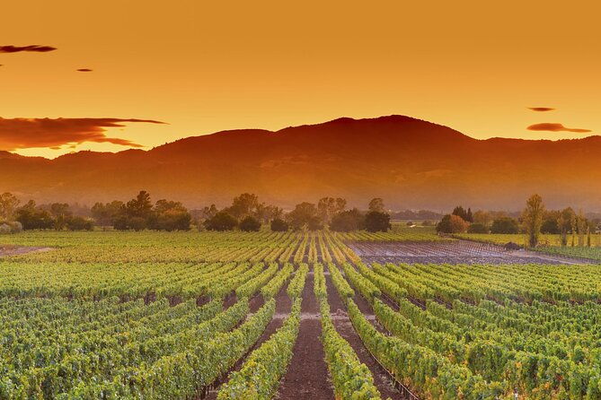 san-francisco-airport-private-transfer-to-napa-valley