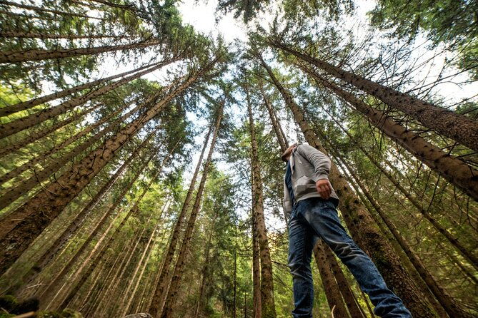 san-francisco-alcatraz-island-and-guided-muir-woods-tour