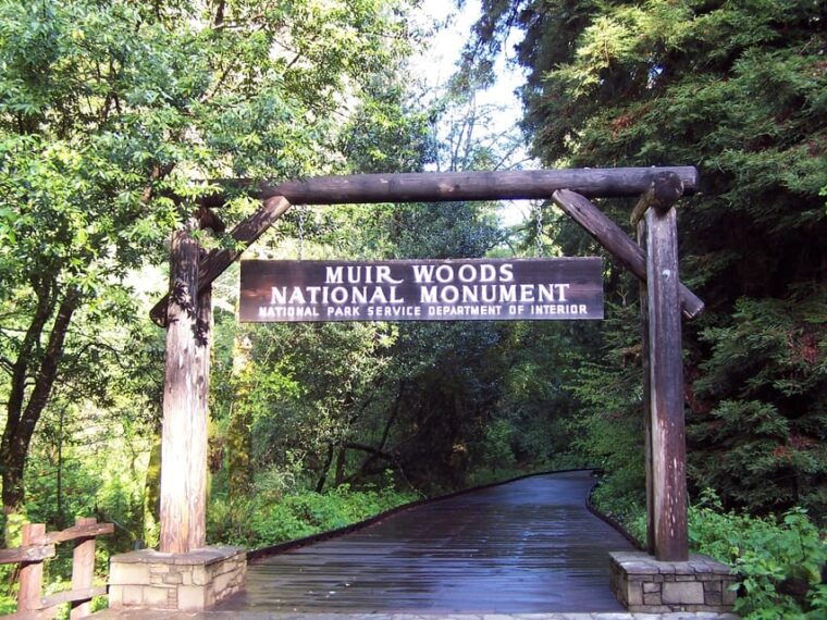 san-francisco-alcatraz-island-guided-muir-woods-tour