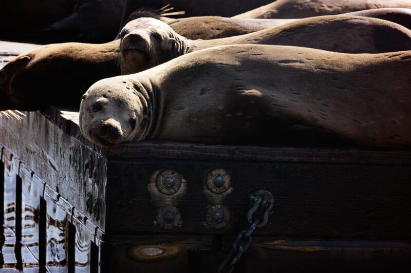 san-francisco-bay-adventure-boat-tour