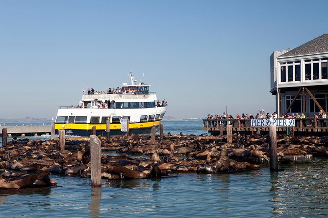 san-francisco-bay-cruise