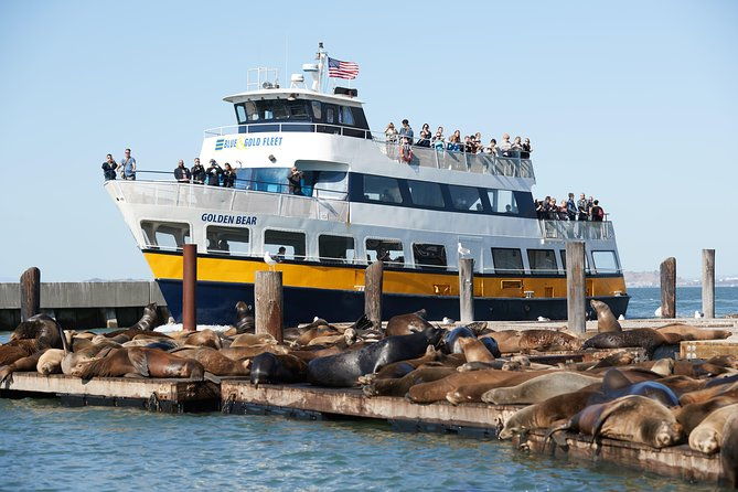 san-francisco-bay-cruise