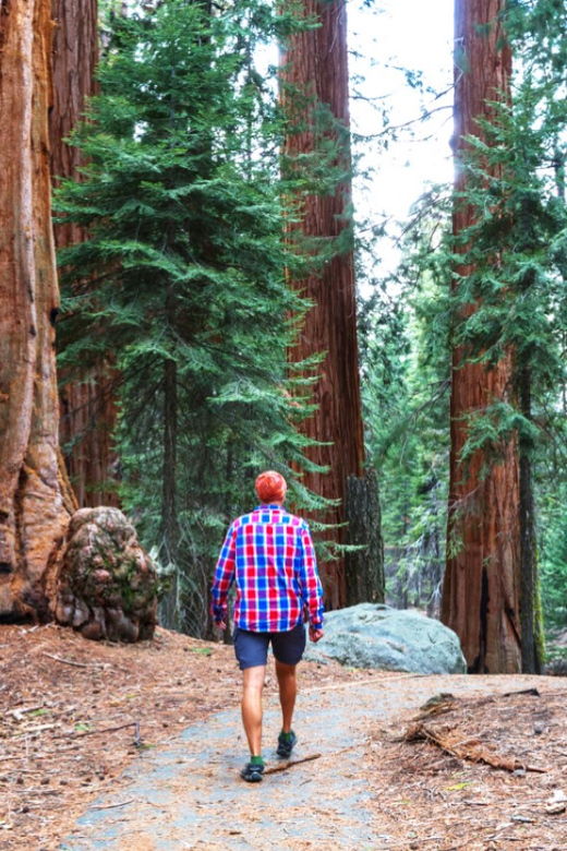 san-francisco-bike-tour-with-muir-woods-and-sausalito-visit