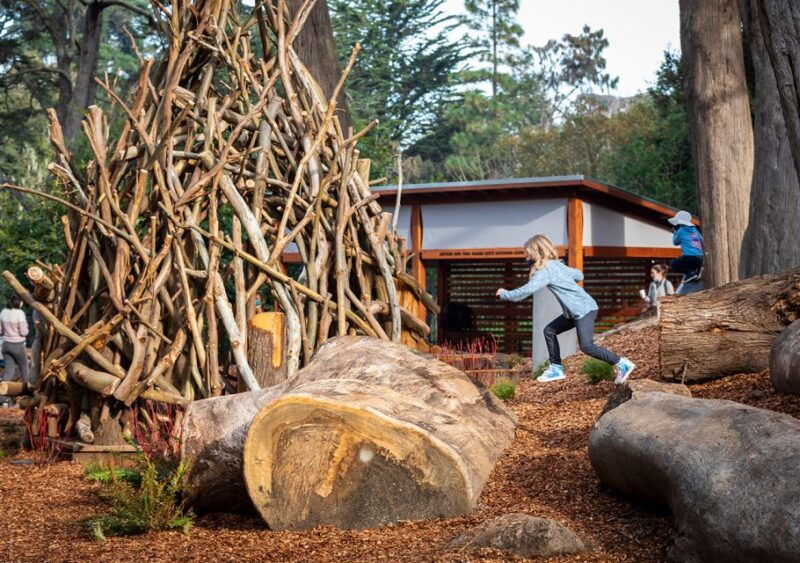 san-francisco-california-academy-of-sciences-entry-ticket