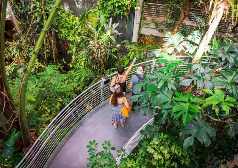 san-francisco-california-academy-of-sciences-entry-ticket