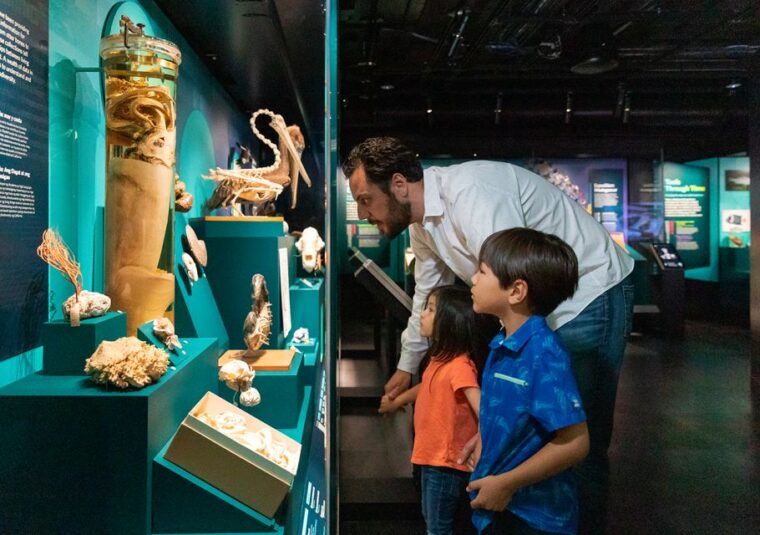 san-francisco-california-academy-of-sciences-entry-ticket