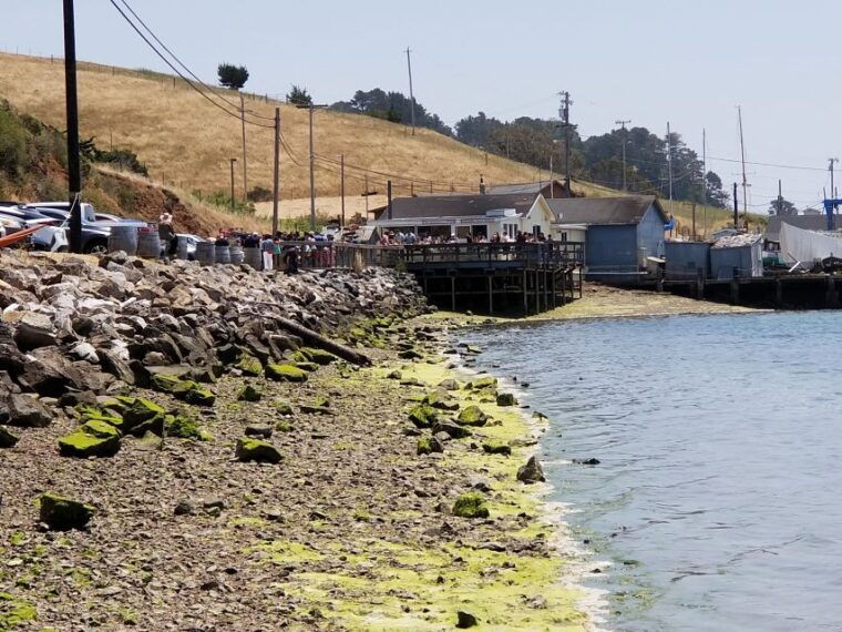 san-francisco-cheese-honey-oysters-wine-tour-of-sonoma