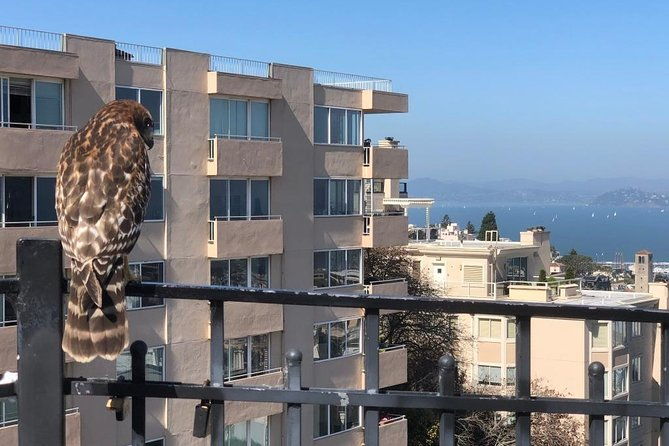 san-francisco-chinatown-russian-hill-and-north-beach-tour