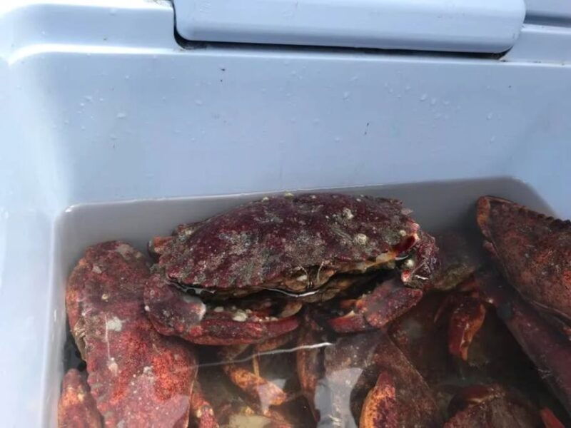 san-francisco-crab-cook-under-the-golden-gate-bridge