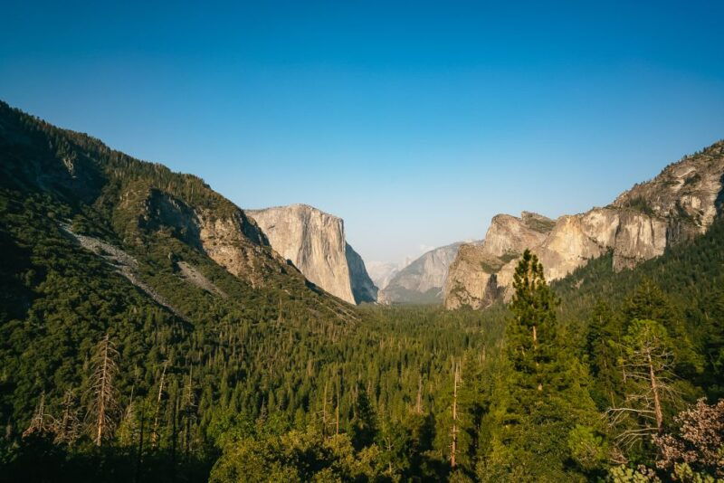 san-francisco-day-trip-to-yosemite-with-giant-sequoias-hike