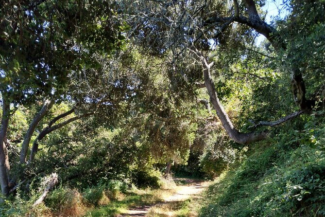 san-francisco-e-bike-tour-on-scenic-trails