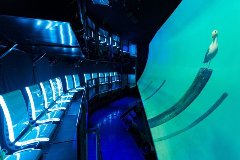 san-francisco-flyer-theater-7d-ride-laser-maze-combo