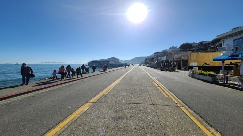 san-francisco-full-day-city-tour-w-muir-woods-sausalito