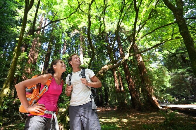 san-francisco-full-day-coastal-redwoods-wine-country-tour