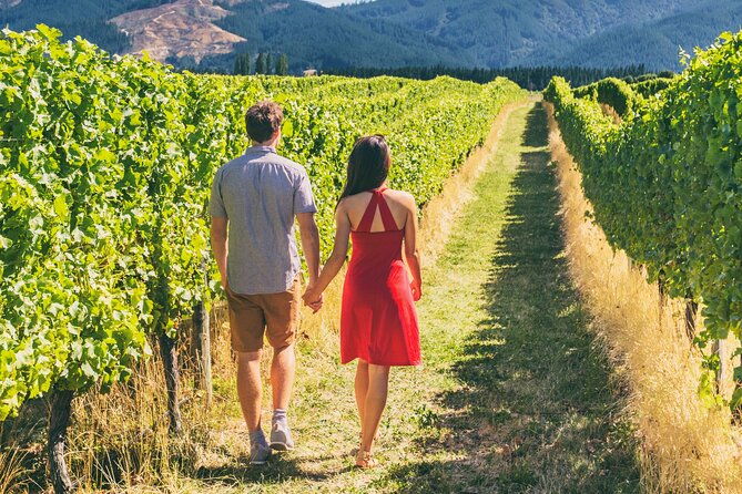 san-francisco-full-day-coastal-redwoods-wine-country-tour