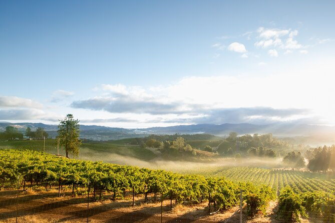 san-francisco-full-day-coastal-redwoods-wine-country-tour