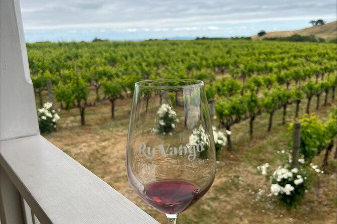 san-francisco-full-day-coastal-redwoods-wine-country-tour