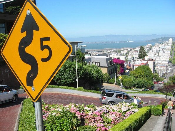 san-francisco-full-day-private-tour-sf-city-redwoods-7-hours