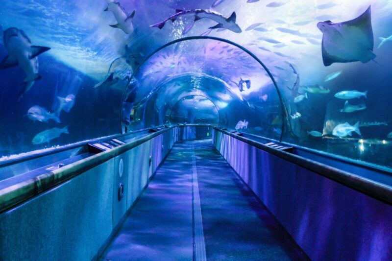 san-francisco-go-city-all-inclusive-pass-30-attractions
