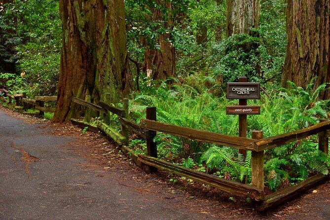 san-francisco-golden-gate-sausalito-and-muir-woods-private-tour