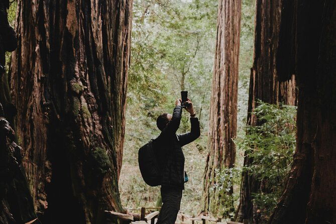 san-francisco-golden-gate-sausalito-and-muir-woods-private-tour