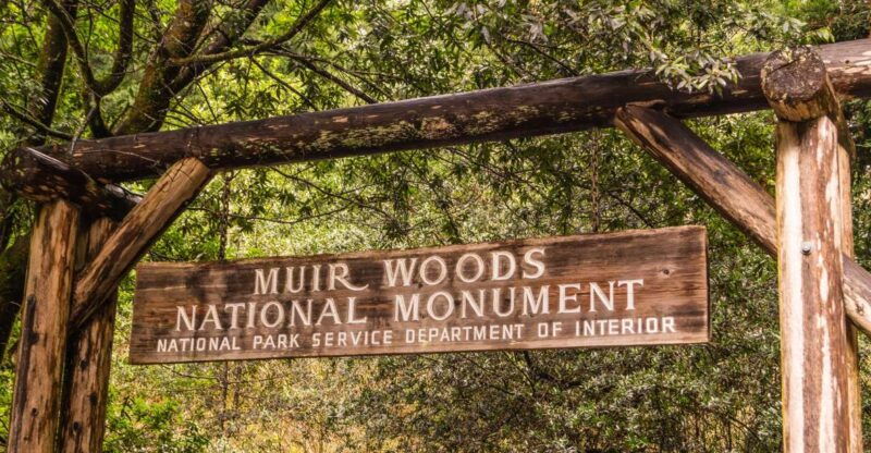 san-francisco-golden-gate-sausalito-muir-woods-private-tour