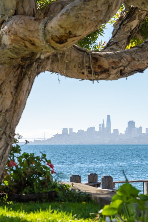 san-francisco-golden-gate-sausalito-muir-woods-private-tour