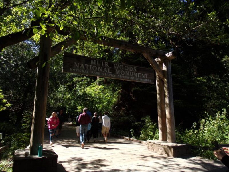 san-francisco-grand-city-tour-muir-woods-and-sausalito