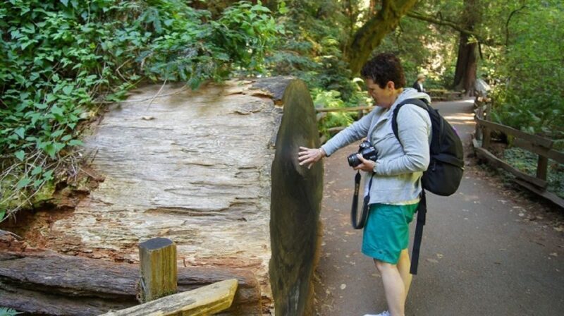 San Francisco: Guided Coastal Redwoods & Wine Country Tour - A Close Look at the Itinerary and Highlights