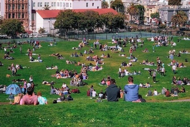 san-francisco-half-day-private-car-tour-with-a-guide-car-tour