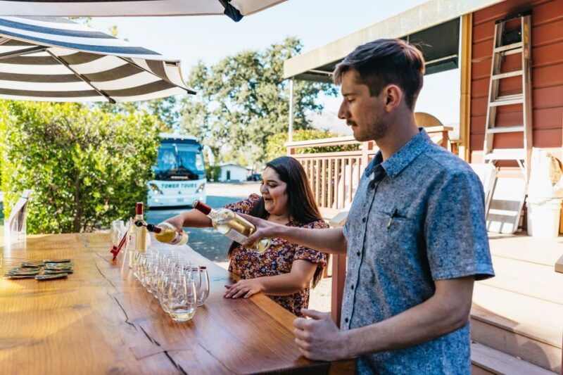 san-francisco-half-day-wine-country-excursion-with-tastings