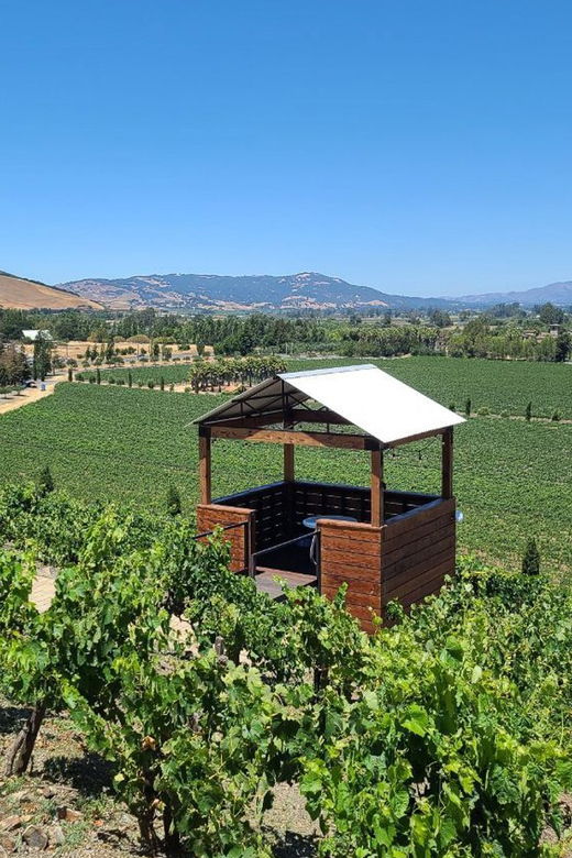 san-francisco-half-day-wine-tour-with-2-tastings-included