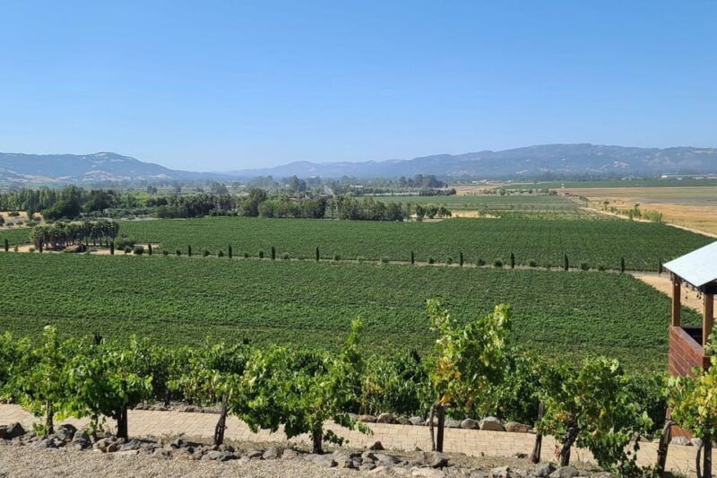 san-francisco-half-day-wine-tour-with-2-tastings-included