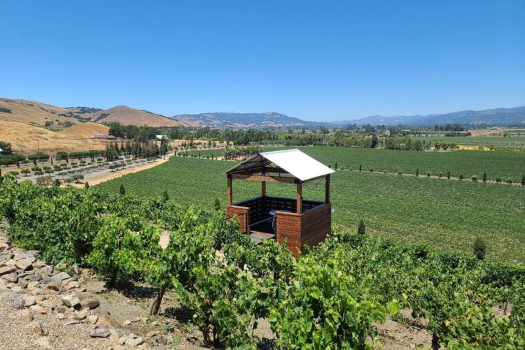 san-francisco-half-day-wine-tour-with-2-tastings-included