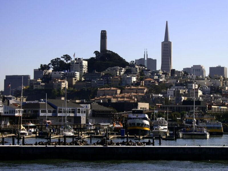 san-francisco-hop-on-hop-off-city-bus-tour-and-bay-cruise