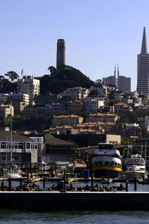 san-francisco-hop-on-hop-off-city-bus-tour-and-bay-cruise