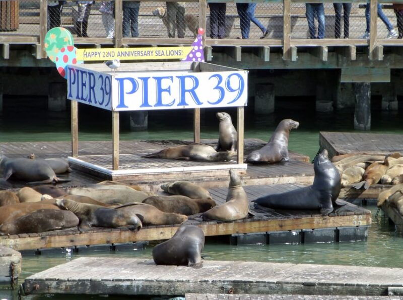 san-francisco-hop-on-hop-off-city-bus-tour-and-bay-cruise