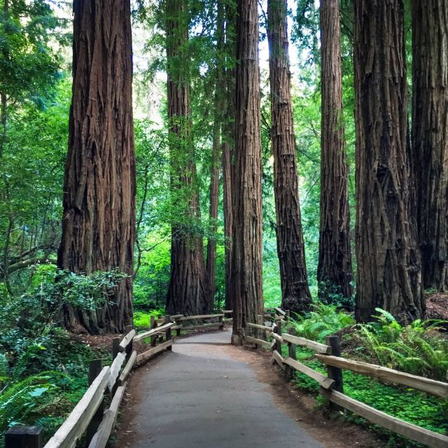 san-francisco-hop-on-hop-off-open-top-sightseeing-tour