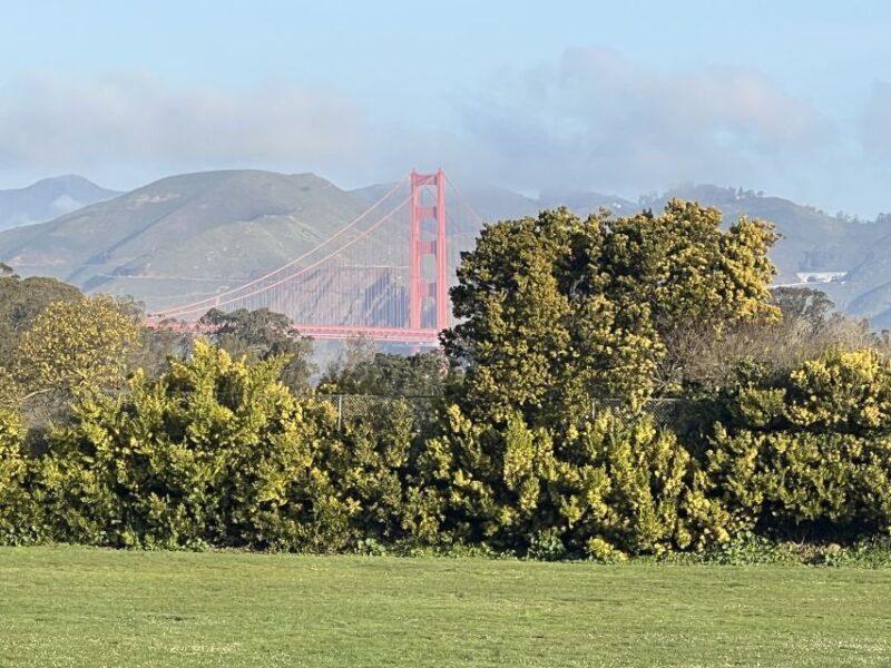 san-francisco-major-landmarks-private-sightseeing-tour-2
