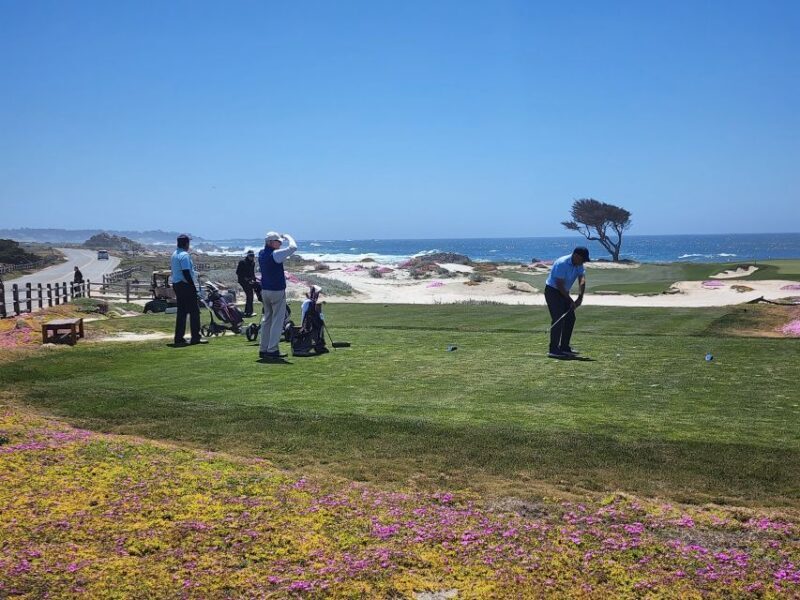 San Francisco: Monterey, Aquarium, and Carmel Private Tour - The Itinerary: What to Expect on This Scenic Coastal Day Trip
