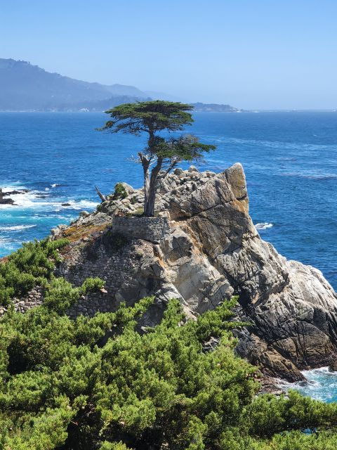 san-francisco-monterey-aquarium-and-carmel-private-tour
