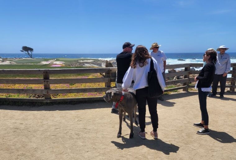 san-francisco-monterey-aquarium-and-carmel-private-tour
