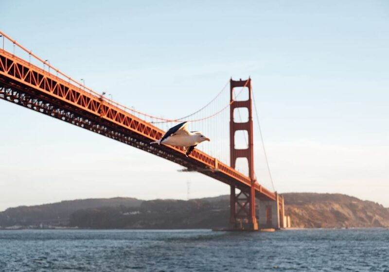 san-francisco-mothers-day-brunch-or-dinner-bay-cruise