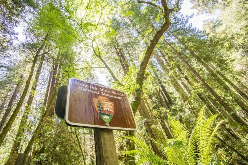 san-francisco-muir-woods-and-sausalito-experience
