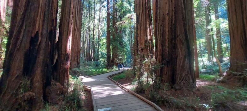 san-francisco-muir-woods-and-sausalito-small-group-tour-2